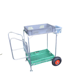 Raspberry Step Trolley